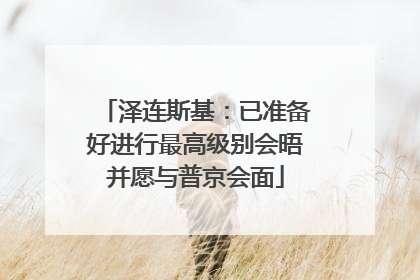 泽连斯基：已准备好进行最高级别会晤并愿与普京会面