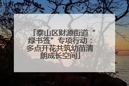 泰山区财源街道“绿书签”专项行动：多点开花共筑幼苗清朗成长空间