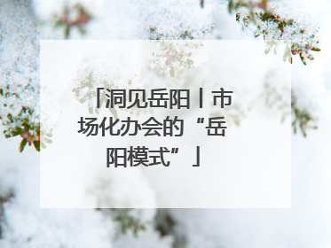 洞见岳阳丨市场化办会的“岳阳模式”