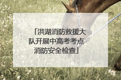 洪湖消防救援大队开展中高考考点消防安全检查