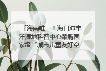 海南唯一！海口潭丰洋湿地科普中心荣膺国家级“城市儿童友好空间建设园区”称号