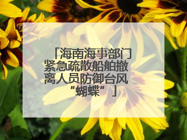 海南海事部门紧急疏散船舶撤离人员防御台风“蝴蝶”