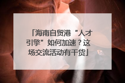 海南自贸港“人才引擎”如何加速？这场交流活动有干货
