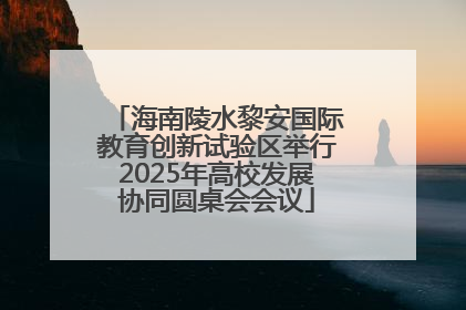 海南陵水黎安国际教育创新试验区举行2025年高校发展协同圆桌会会议