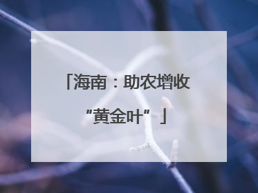 海南：助农增收 “黄金叶”