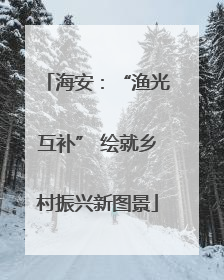 海安：“渔光互补” 绘就乡村振兴新图景