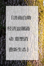 济南自助经济浪潮涌动 重塑消费新生态
