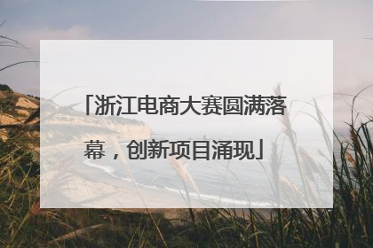 浙江电商大赛圆满落幕，创新项目涌现