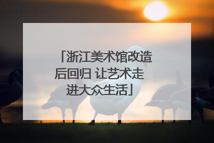浙江美术馆改造后回归 让艺术走进大众生活