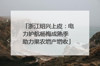 浙江绍兴上虞：电力护航杨梅成熟季 助力果农增产增收