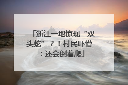 浙江一地惊现“双头蛇”？！村民吓懵：还会倒着爬