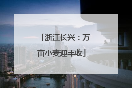 浙江长兴：万亩小麦迎丰收