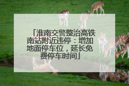 淮南交警整治高铁南站附近违停：增加地面停车位，延长免费停车时间