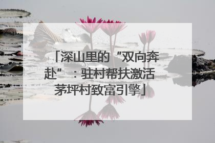 深山里的“双向奔赴”：驻村帮扶激活茅坪村致富引擎