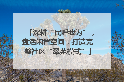 深耕“民呼我为”，盘活闲置空间，打造完整社区“翠苑模式”