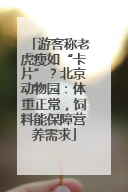 游客称老虎瘦如“卡片”？北京动物园：体重正常，饲料能保障营养需求