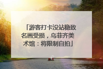 游客打卡没站稳致名画受损，乌菲齐美术馆：将限制自拍