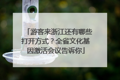 游客来浙江还有哪些打开方式？全省文化基因激活会议告诉你