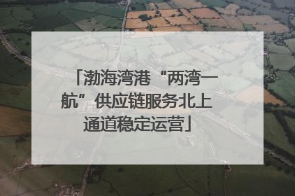 渤海湾港“两湾一航”供应链服务北上通道稳定运营