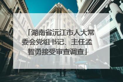 湖南省沅江市人大常委会党组书记、主任孟智勇接受审查调查