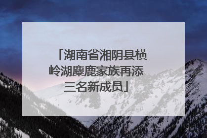 湖南省湘阴县横岭湖麋鹿家族再添三名新成员