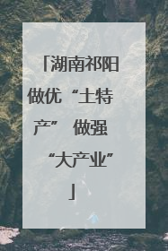 湖南祁阳做优“土特产” 做强“大产业”