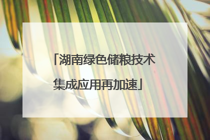 湖南绿色储粮技术集成应用再加速