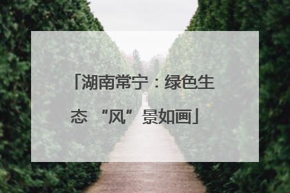 湖南常宁：绿色生态 “风”景如画