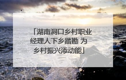 湖南洞口乡村职业经理人下乡踏勘 为乡村振兴添动能