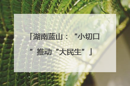 湖南蓝山：“小切口”推动“大民生”
