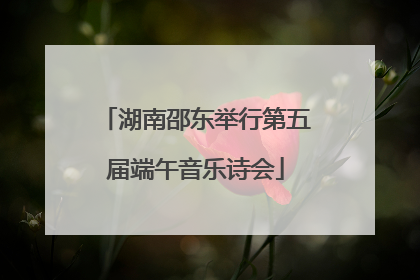 湖南邵东举行第五届端午音乐诗会