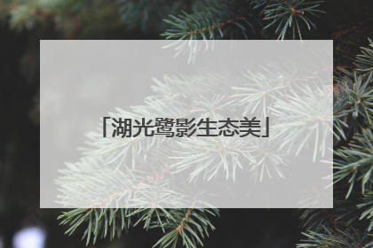 湖光鹭影生态美