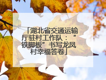 湖北省交通运输厅驻村工作队：“铁脚板”书写龙凤村幸福答卷