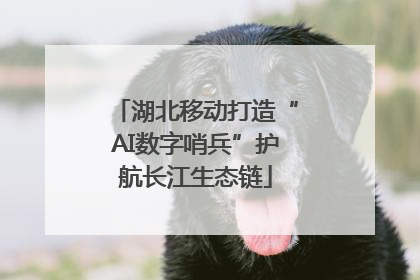 湖北移动打造“AI数字哨兵”护航长江生态链