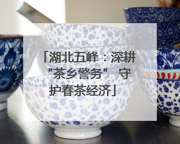 湖北五峰：深耕“茶乡警务” 守护春茶经济