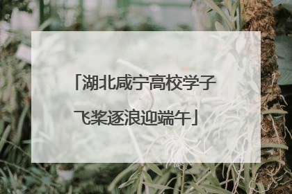 湖北咸宁高校学子飞桨逐浪迎端午