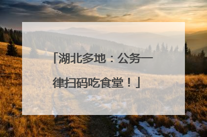 湖北多地：公务一律扫码吃食堂！