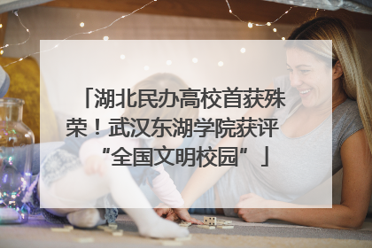 湖北民办高校首获殊荣！武汉东湖学院获评“全国文明校园”