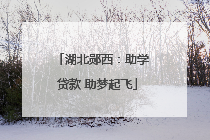 湖北郧西：助学贷款 助梦起飞