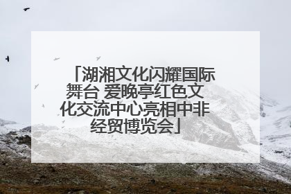 湖湘文化闪耀国际舞台 爱晚亭红色文化交流中心亮相中非经贸博览会