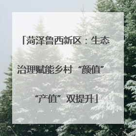 菏泽鲁西新区：生态治理赋能乡村“颜值”“产值”双提升
