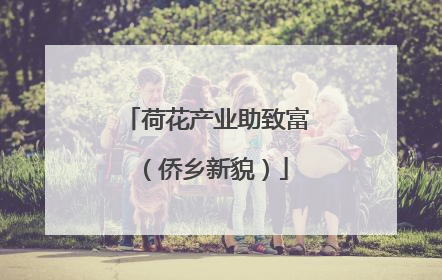 荷花产业助致富（侨乡新貌）