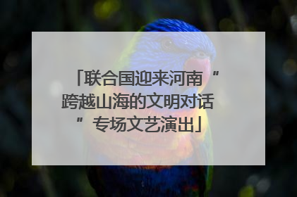 联合国迎来河南“跨越山海的文明对话”专场文艺演出