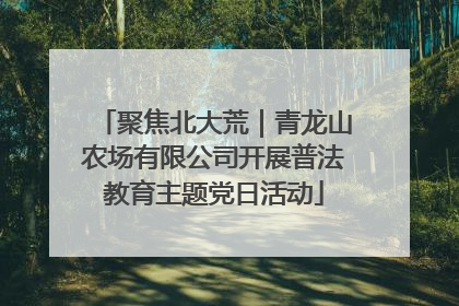 聚焦北大荒｜青龙山农场有限公司开展普法教育主题党日活动