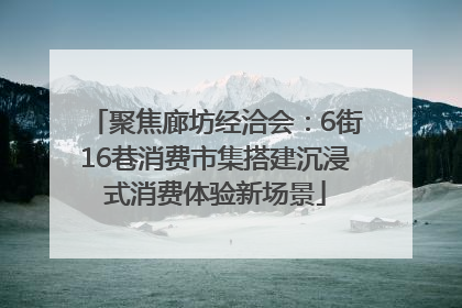 聚焦廊坊经洽会：6街16巷消费市集搭建沉浸式消费体验新场景