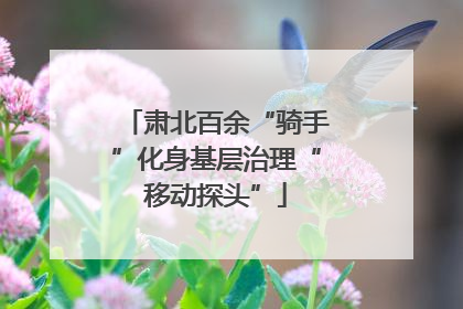 肃北百余“骑手”化身基层治理“移动探头”