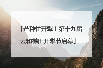 芒种忙开犁！第十九届云和梯田开犁节启幕