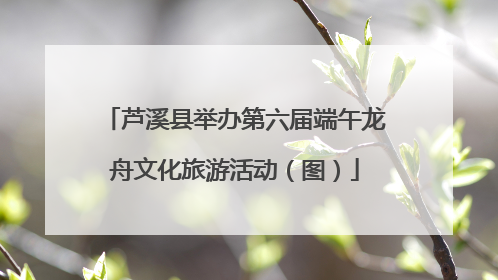 芦溪县举办第六届端午龙舟文化旅游活动（图）