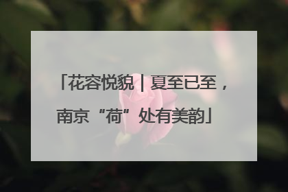 花容悦貌｜夏至已至，南京“荷”处有美韵