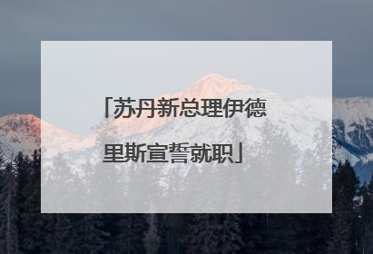 苏丹新总理伊德里斯宣誓就职